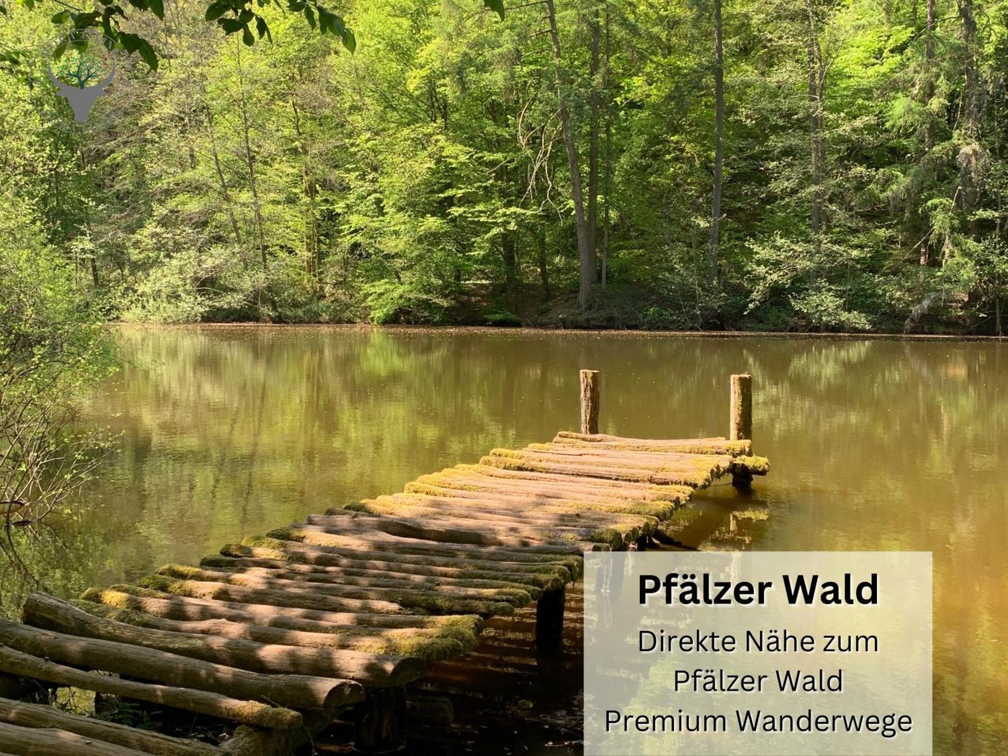 Ferienwohnung Schuhpartment Am Pfaelzer Wald Naehe Outlet Center Zweibruecken Pirmasens Exterior foto